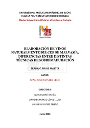TFM Pajares León, Juan José.pdf.jpg