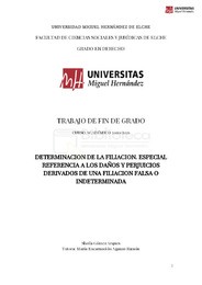 TFG-Gómez Arques, Sheila.pdf.jpg
