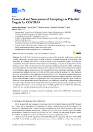 2-20_5c_Cells 4.366 (2019)_Autophagy vs coronavirus.pdf.jpg