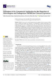 Validation TRPM8 antibodies.pdf.jpg