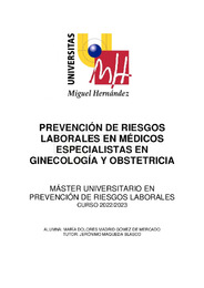 MADRID_GOMEZDEMERCADO_MARIADOLORES_TFM.pdf.jpg